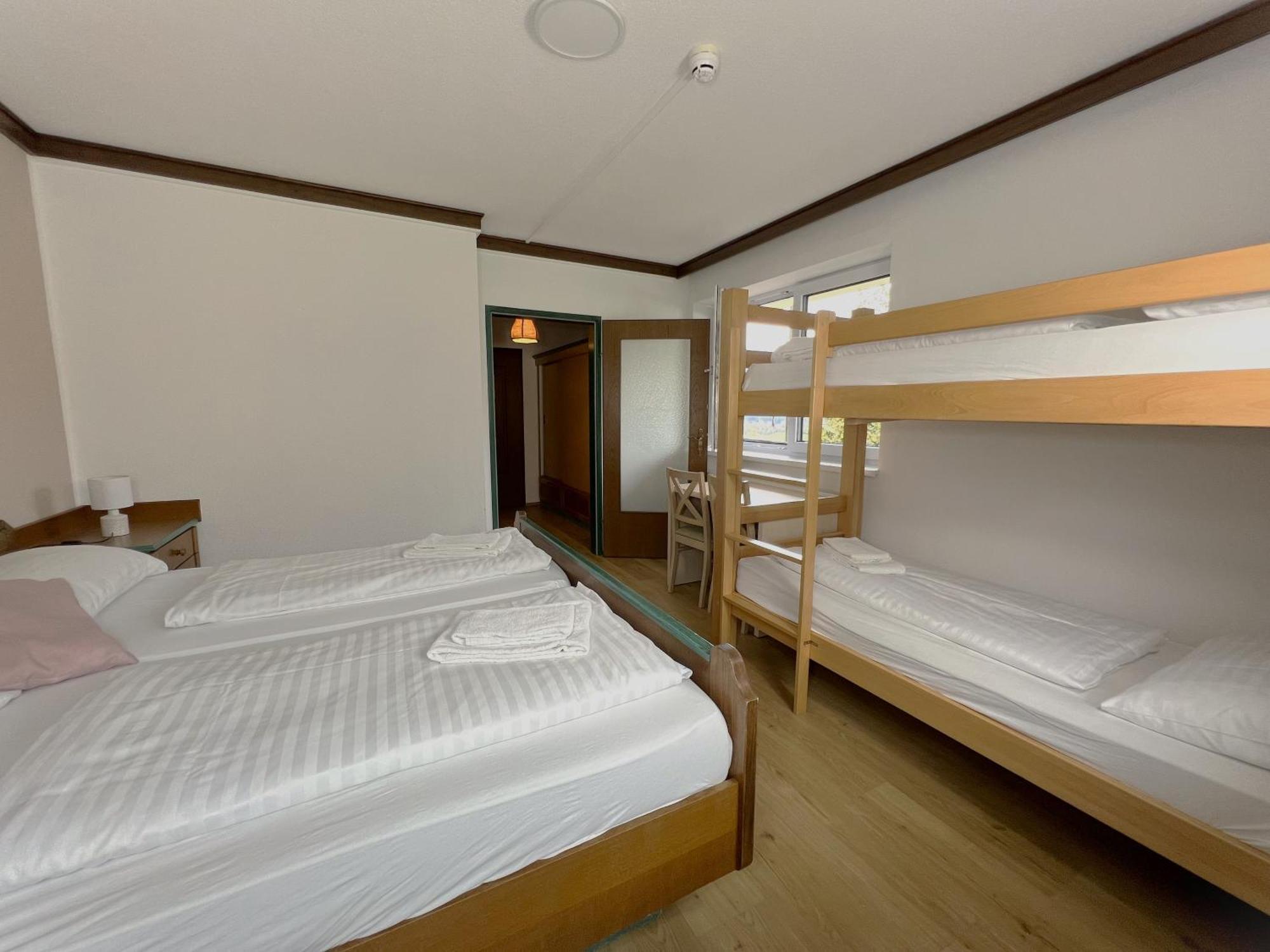Mountain Hostel ラムサウ・アム・ダッハシュタイン エクステリア 写真